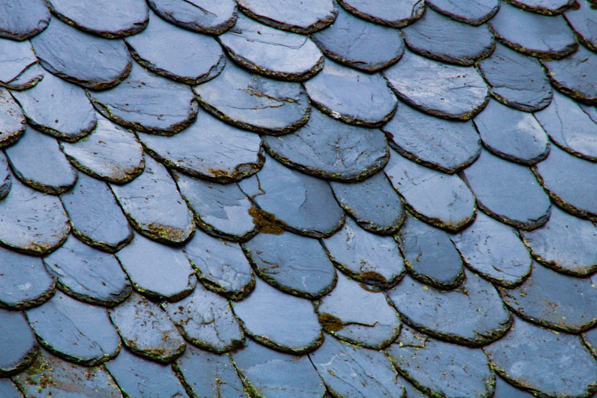Decorative scallop-pattern slate roof tiles in weathered gray-blue